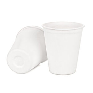 Bagasse Hot Cups